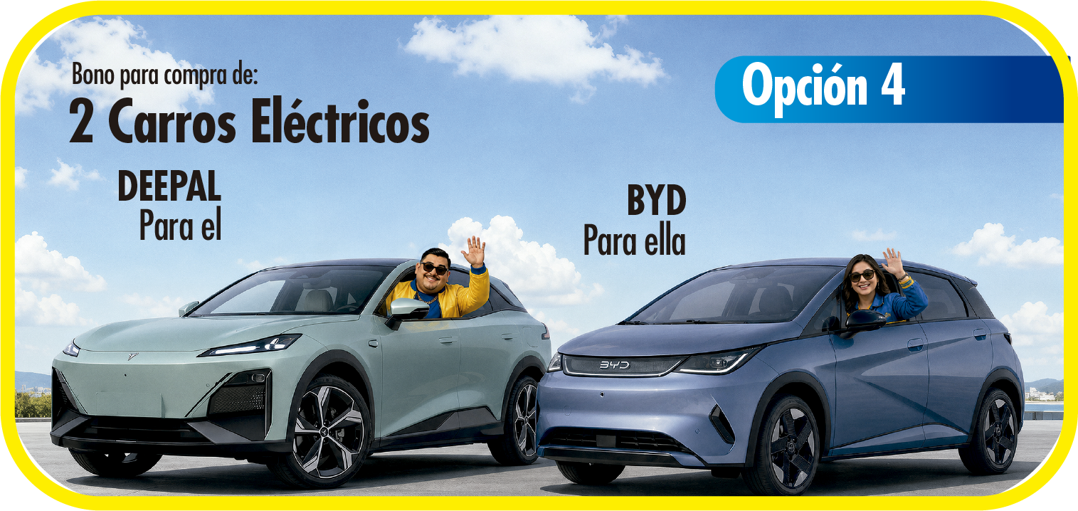 Opción 4 — 2 Carros Eléctricos